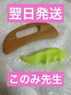 Item thumbnail for item e6f03bcf-802d-4688-85f9-064187fe016f