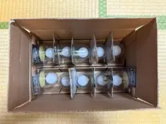 ELPA E17口金 屋内用電球 10個