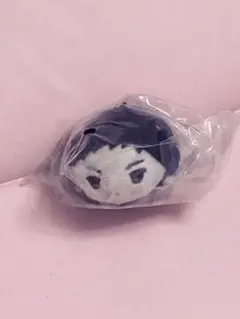 ハイキュー!!澤村大地もちもちマスコットミニ