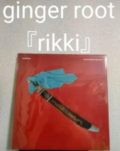 Dayglow アナログレコード ギターポップ GINGER ROOT Dayglow アナログレコード ギターポップ GINGER ROOT通販