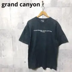 grand canyon オールド グランドキャニオン anvilボディTシャツ
