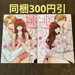 「逃がさない。」ワケあり御曹司とセックスから始まる契約結婚 上下