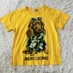 ANDRE LUCIANO ダックスフンドTシャツ 黄色