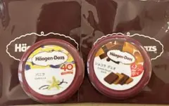 ハーゲンダッツ 缶バッジ 2個セット