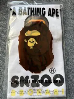 Item thumbnail for item e5140677-768c-4d12-9b8d-652fdbf9c2e0