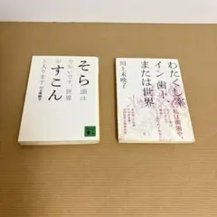 川上未映子　講談社文庫　2冊セット