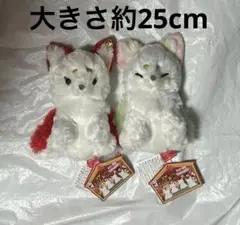 新品未使用 2種セット ちょコンと九尾のキツネ コンパクトJB１