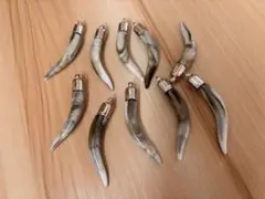 フェイク　牙　角チャーム