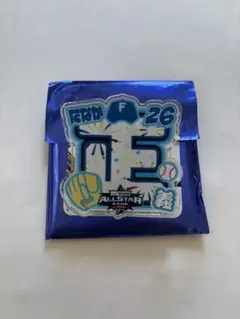 オールスターゲーム　シークレット　アクリルネームバッジ　日ハム　田中正義