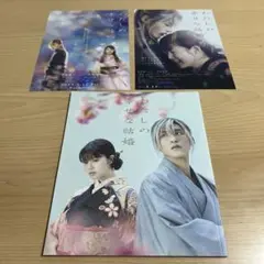 わたしの幸せな結婚　パンフレット　フライヤー付き