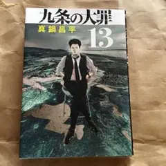九条の大罪 13