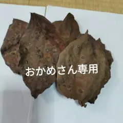 柿の葉無農薬100枚