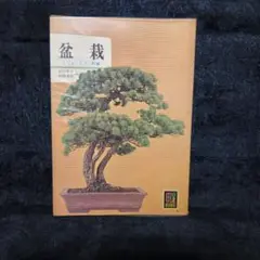 昭和レトロ 保育社 カラーブックス 文庫本 盆栽 BONSAI カラー写真