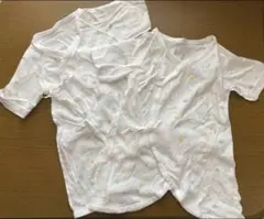 Item thumbnail for item 84d77d31-2a92-4292-ab01-509a2af9d957