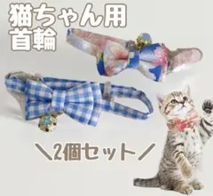 Item thumbnail for item 72f21189-2ae8-4997-a3cf-6cb0d2a5c78b