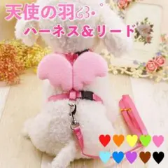 イエローXSサイズ 天使の羽 ハーネス リード 可愛い 人気 ペット おしゃれ