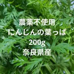 Item thumbnail for item caf9cf10-e217-42db-a6e0-4a9ff48ec290