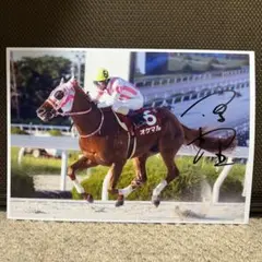 オケマル　2025兵庫優駿 （園田競馬）A4写真