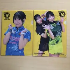 女子プロボウラー”クリアファイル＋メッセージカード”セット 2025年最新】女子プロボウラーの人気アイテム - メルカリ