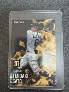 プロ野球チップスカード2025 第2弾