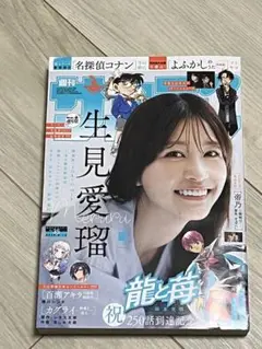 週刊少年サンデー 2025年　35号