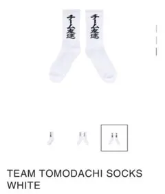 Item thumbnail for item 36d1a9fb-e2ae-48e5-bdf9-ca79300897e4