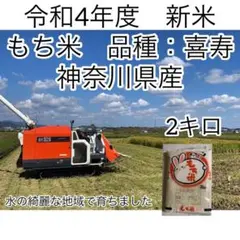 神奈川県産 令和4年度 新米 もち米 餅米 喜寿 2キロ 2kg 精米 白米