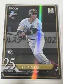 Item thumbnail for item 4707dad8-63b9-49c4-93c6-5e147f85a5e6