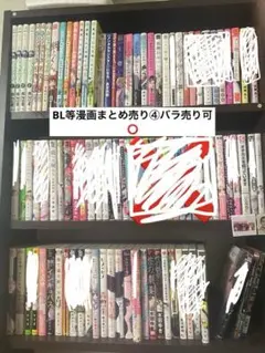 BL等漫画まとめ売り④バラ売り可⭕️