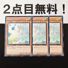 11891 遊戯王 裏風の精霊 字レア 2点目無料