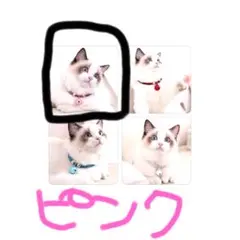Item thumbnail for item 2fe51369-82a7-4fdf-a918-6616d8de566b