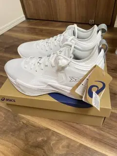 Item thumbnail for item cd35bd58-f064-4dd7-ba89-8fd4eb0ba76f