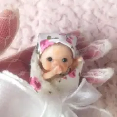 ♥️小さなベビーちゃん♥️おくるみ♥️樹脂粘土ベビー♥️リボーンドール♥️