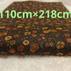 Item thumbnail for item 67e724d4-35ba-47dc-8e0a-5f8a07c46e7b