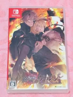 終遠のヴィルシュ 終ヴィル Switch