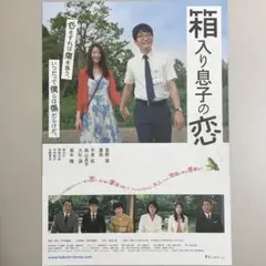 箱入り息子の恋 映画チラシ 星野源 夏帆 B5サイズ フライヤー