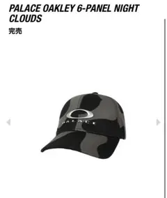 PALACE Oakley Puffa ダウンメルカリ最安値 レアS 2025年最新】palace oakley ダウンの人気アイテム - メルカリ