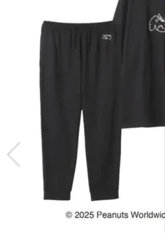 Item thumbnail for item 0b29c412-70da-46c3-af08-5ec71e283b3e