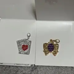 セボンスター メタルチャーム 2点セット