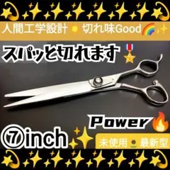 Item thumbnail for item 38bb0676-9243-4a15-9483-b4e1119aad9f