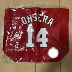 Item thumbnail for item 1da5e172-d323-4d7c-8d70-7fa5eaa75830