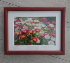 Item thumbnail for item 73708b8f-1810-4792-80c8-5185fb3a874a