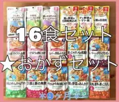 773☆ 離乳食 9ヶ月 全て違う味 おかずセット ベビーフード