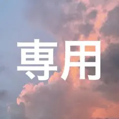専用出品