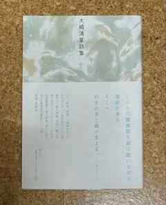 大崎清夏 詩集