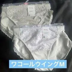 Item thumbnail for item 4be930ff-a340-40d9-ab81-c8c6cc52e60e