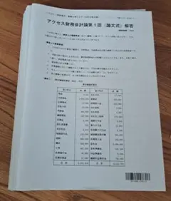 アクセス財務会計　論文式　2024　tac 会計士