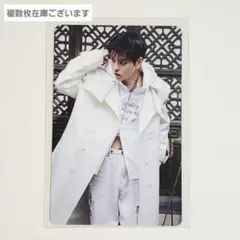 Stray Kids HOP 合 NEMO ネモ 封入 トレカ スンミン スキズ