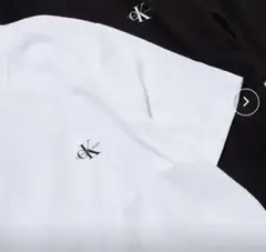 Calvin Klein ロゴTシャツ Sサイズ ホワイト