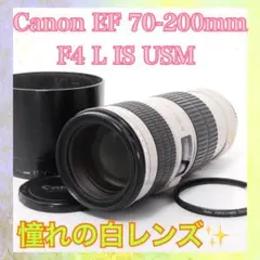 Item thumbnail for item 3fad7b57-b359-4767-a9ae-639684acaf43